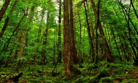 世界滑板公开赛城市巡回赛志愿者见面会举行，国际滑板公开赛