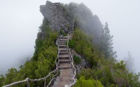 世界短跑接力赛混合接力国际推广委员会成立，短跑4x100米接力赛世界纪录
