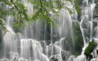 世界短跑线上训练平台春训营学员数据分析公布，世界短跑比赛视频