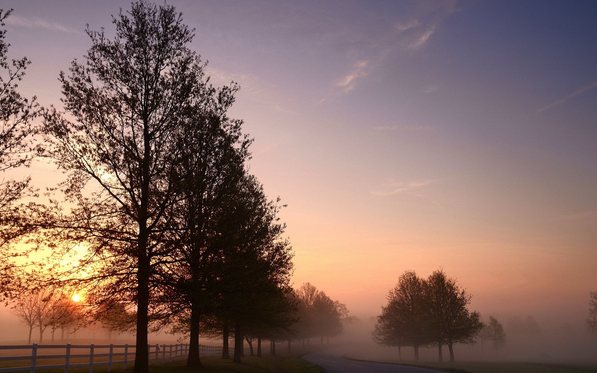 世界体操单项赛赛场观众互动活动创新上线,世界体操冠军名单